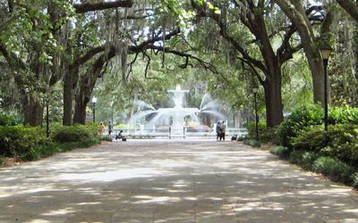 Urologist NE Georgia